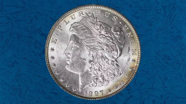 1897 Morgan dollar VAM 8 Doubled Stars showing faint doubling on obverse stars around Liberty portrait under magnification